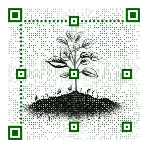 Scan here to register your Mountain Roots Plants